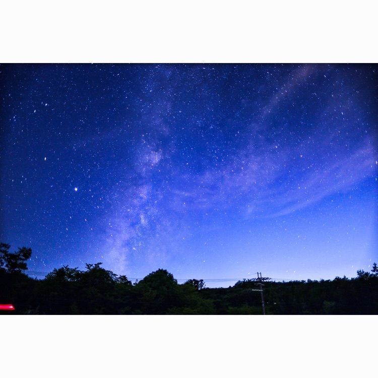 satomi24さんが投稿したフォレストパーク神野山に関する口コミの画像