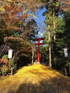 冠稲荷神社の木瓜
