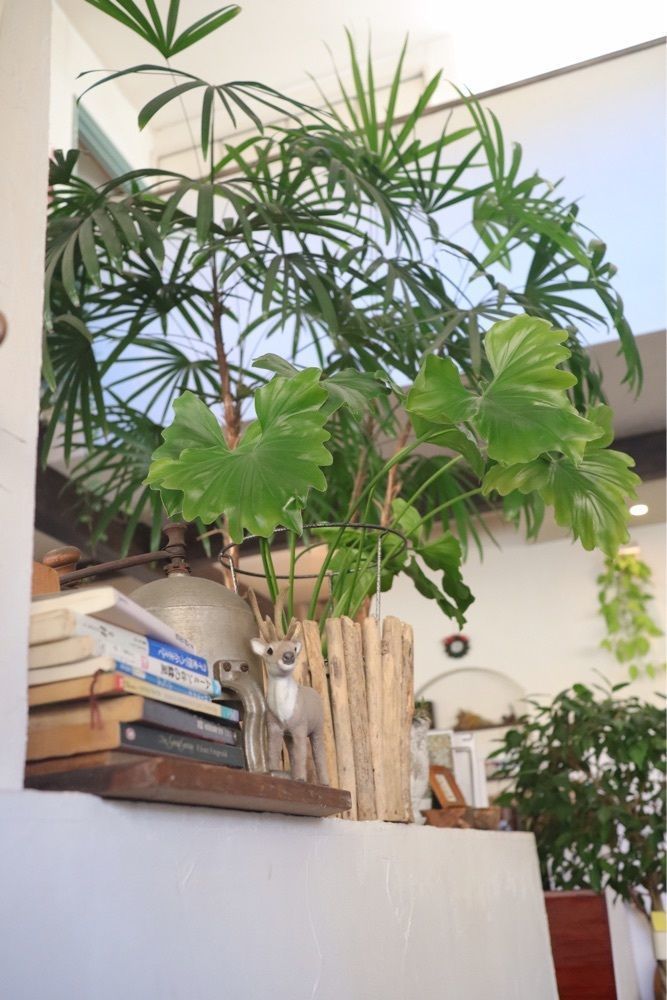 あっけさんが投稿した狸森焙煎所（ムジナモリバイセンジョ）に関する口コミの画像