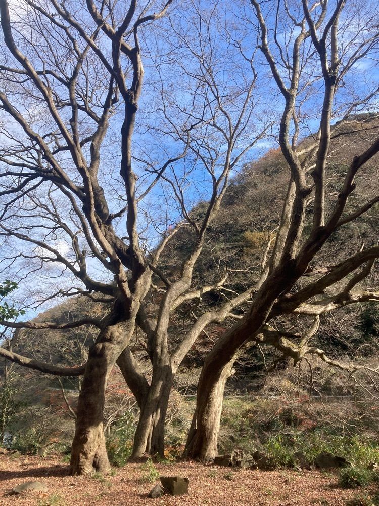 ply さんが投稿した定光寺駅に関する口コミの画像