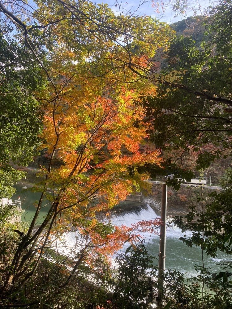 ply さんが投稿した定光寺駅に関する口コミの画像