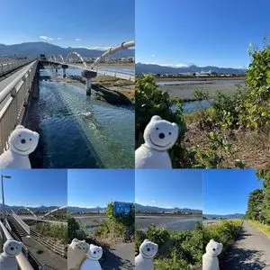酒匂川