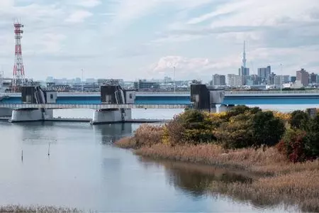 江戸川堤