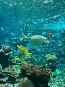 串本海中公園　水族館