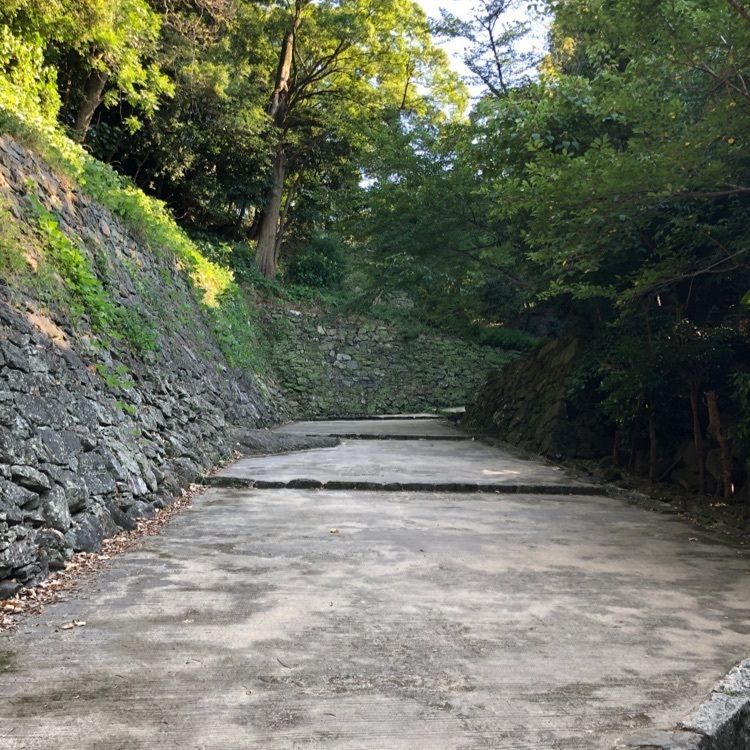 タグユウさんが投稿した和歌山城のツツジに関する口コミの画像