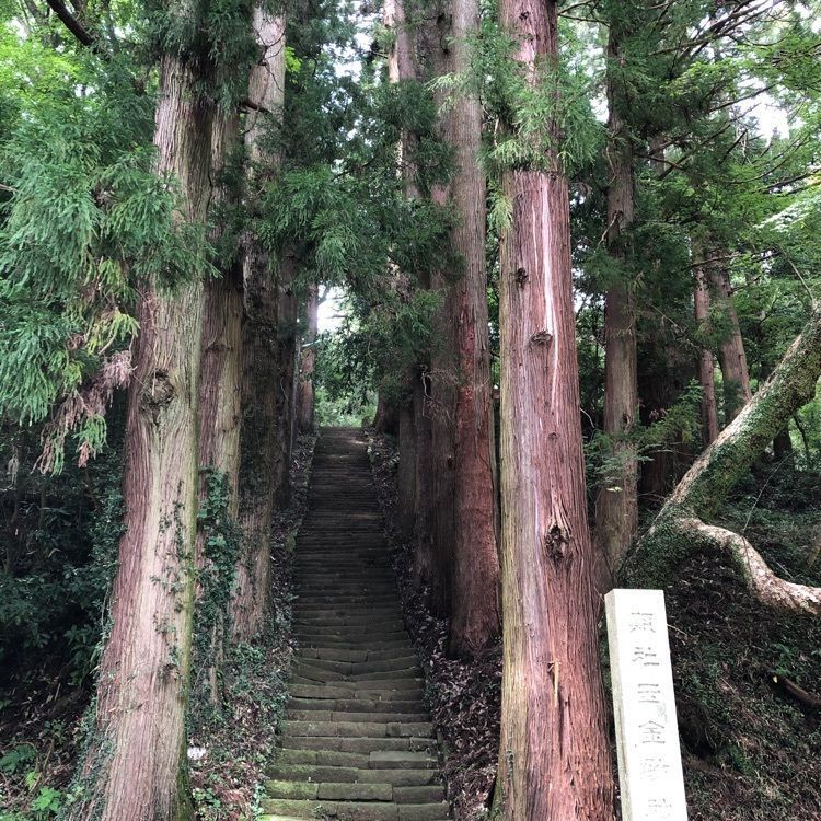 Google 1103さんが投稿した西金砂神社に関する口コミの画像