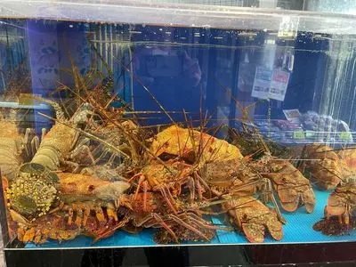 フィッシュマーケット