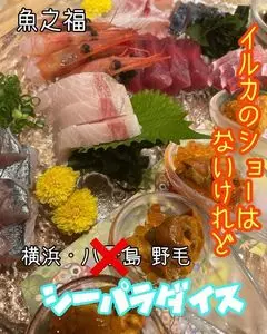 魚乃福