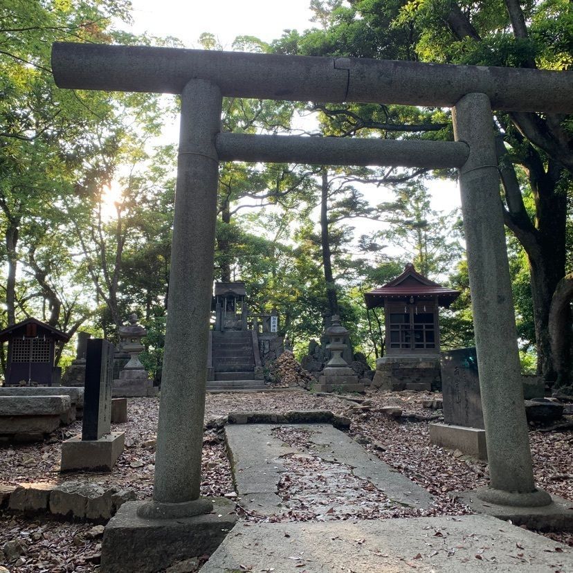 tom_takedaさんが投稿した足利城跡に関する口コミの画像
