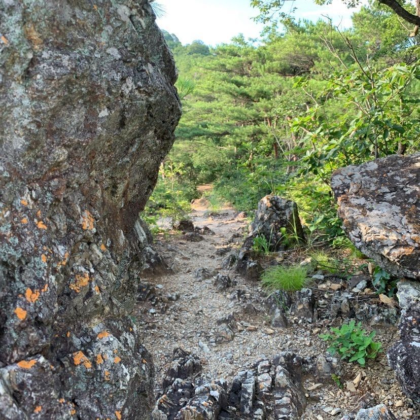 tom_takedaさんが投稿した足利城跡に関する口コミの画像