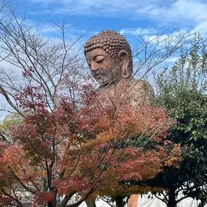 聚楽園の大仏