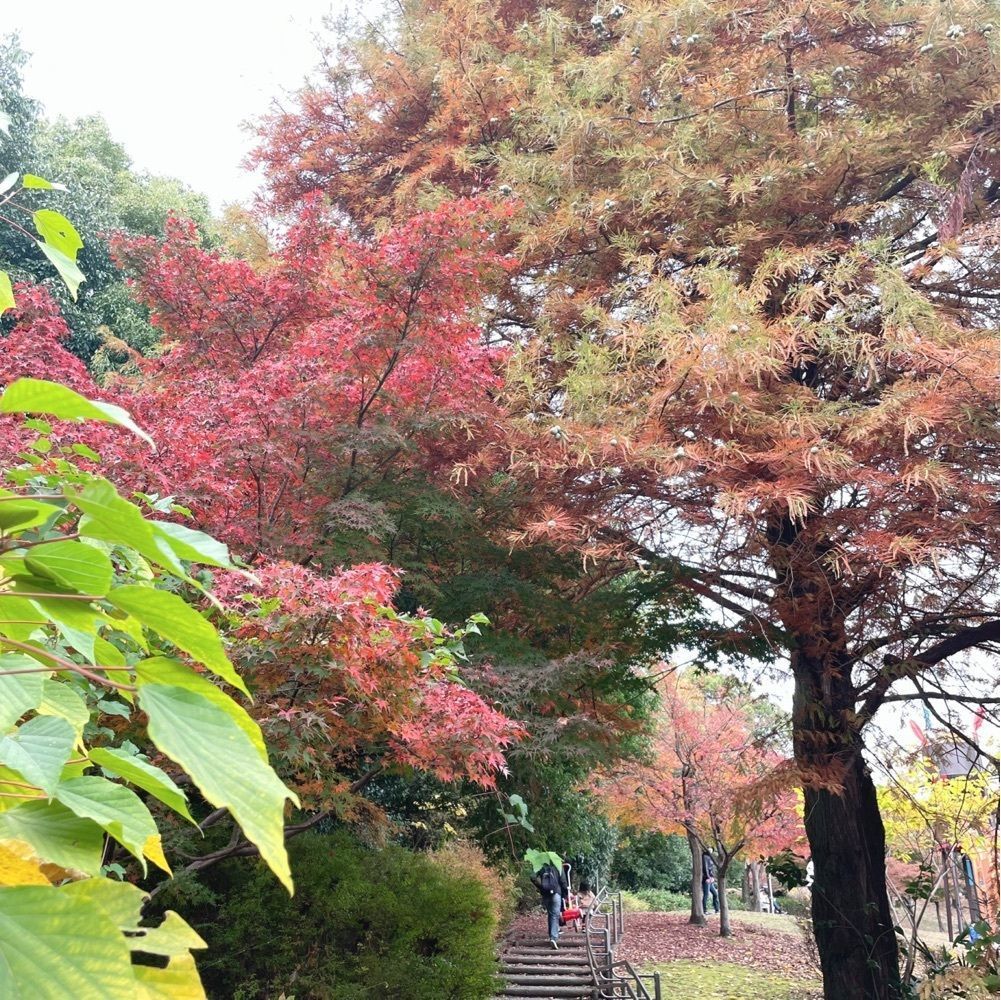 Mr. イリジウム シルバーさんが投稿した聚楽園の大仏に関する口コミの画像