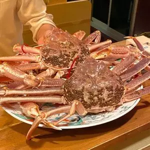 味感 ことほぎ（ミカン コトホギ）