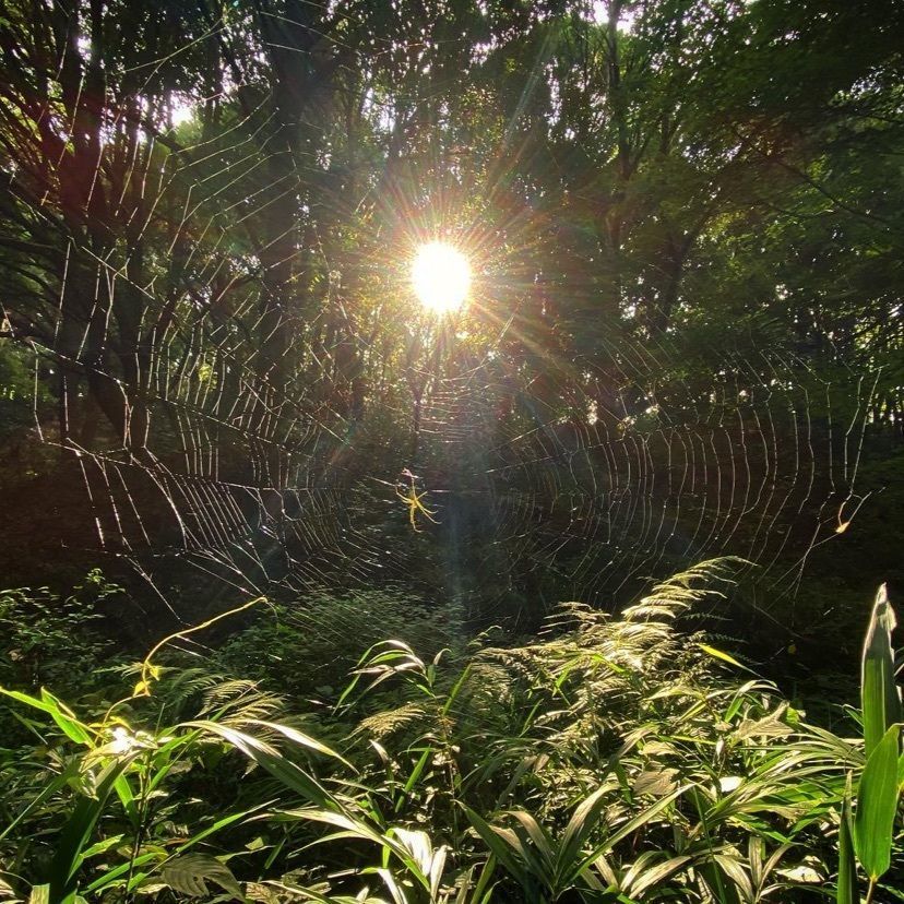 Kayoさんが投稿した県立四季の森公園に関する口コミの画像