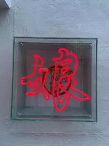 手羽先むすめ