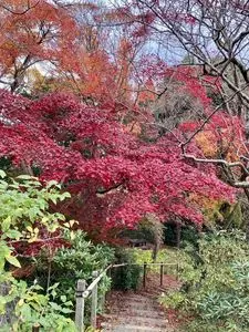 京王百草園