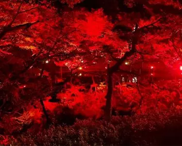 八芳園