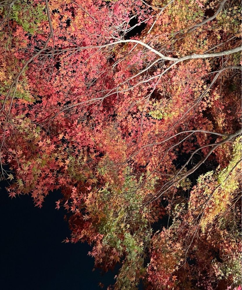 kei_koさんが投稿したグランドプリンスホテル京都に関する口コミの画像