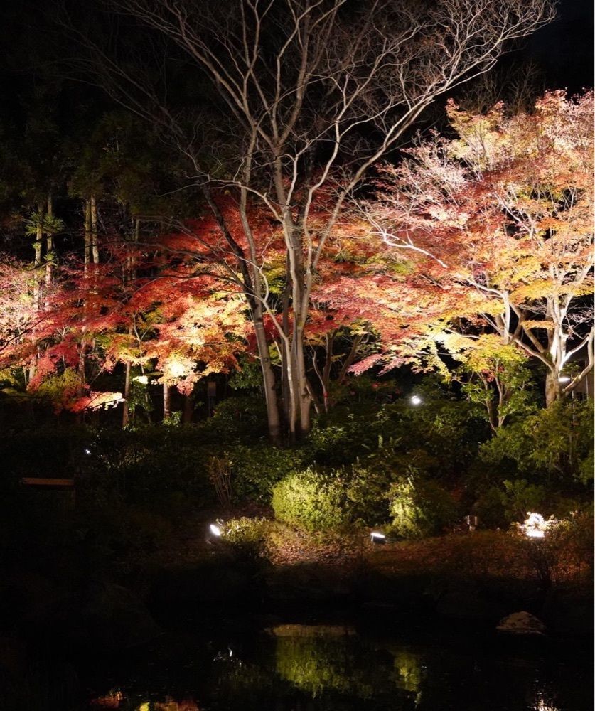 kei_koさんが投稿したグランドプリンスホテル京都に関する口コミの画像