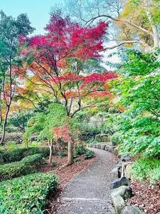 城山庵 お憩み処