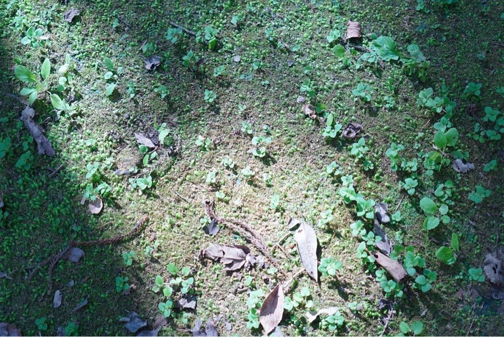 Yukiさんが投稿した立久恵峡に関する口コミの画像