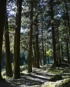 立久恵峡 1枚目