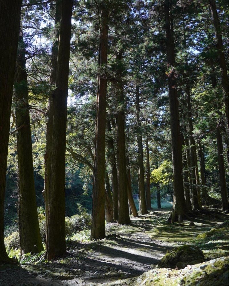 Yukiさんが投稿した立久恵峡に関する口コミの画像