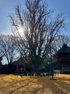 勝興寺