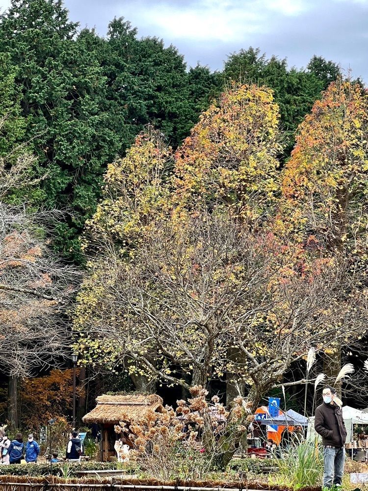 ビンカさんが投稿したうぐいす亭に関する口コミの画像