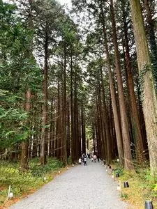 秩父宮記念公園
