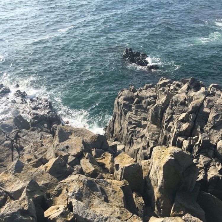 ＤＪゴン太さんが投稿した坂井市海浜自然公園に関する口コミの画像