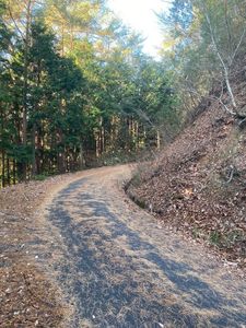 温井スプリングス 2枚目