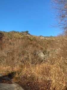 温井スプリングス 4枚目