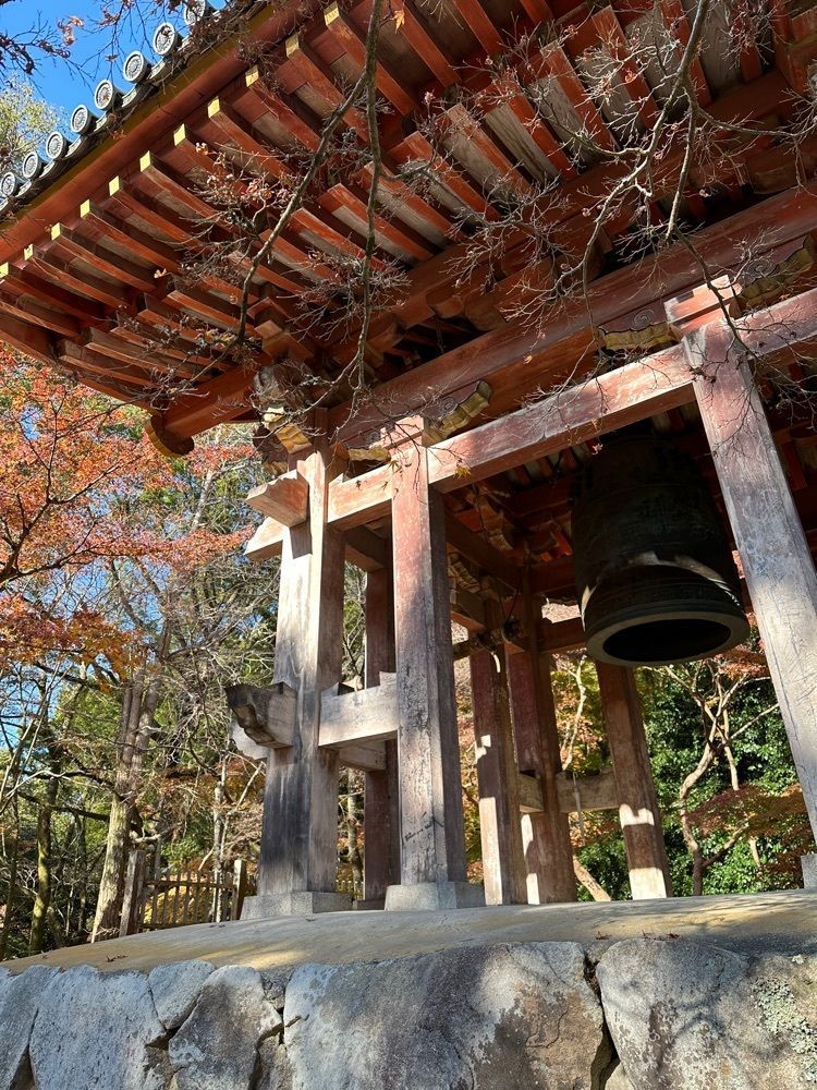 blossom&C7さんが投稿した醍醐寺の紅葉に関する口コミの画像