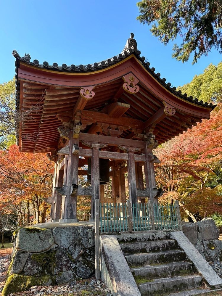 blossom&C7さんが投稿した醍醐寺の紅葉に関する口コミの画像