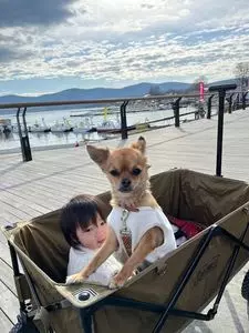 山中湖ジュピター