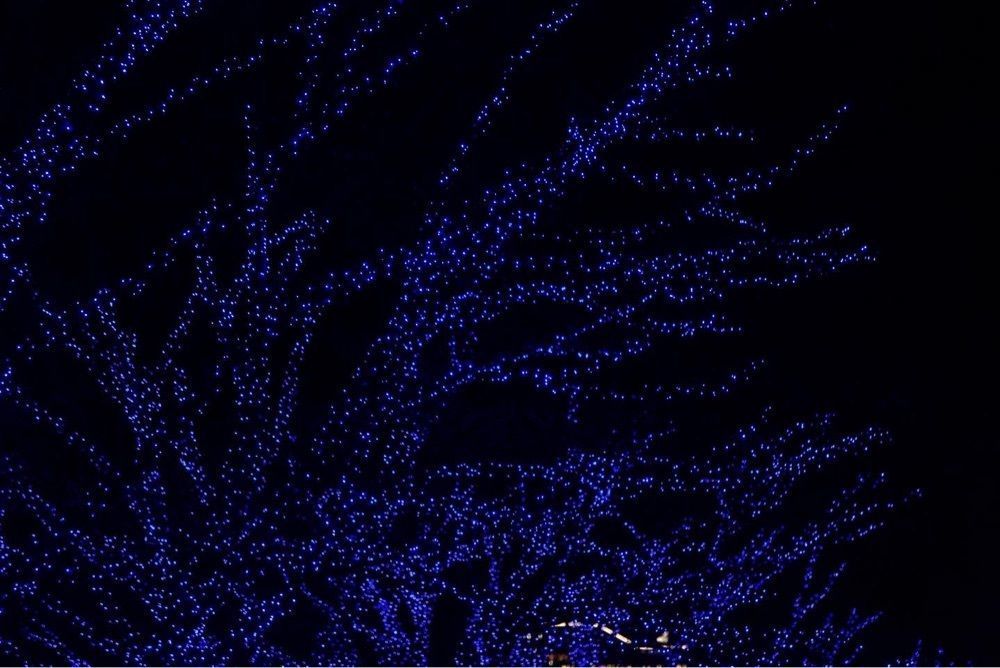 TERUKOBAさんが投稿した青の洞窟 SHIBUYAに関する口コミの画像