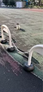 桜田公園