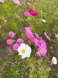 山田池公園 1枚目