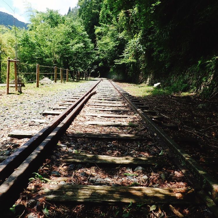 ざんぎさんが投稿した井川湖畔自然歩道に関する口コミの画像