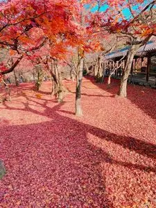 東福寺（京都府京都市）