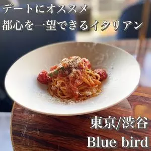 渋谷 Blue bird（ブルー バード）