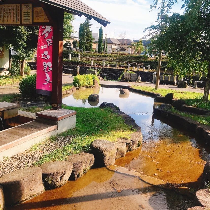 猫なぎ。さんが投稿した寒河江温泉に関する口コミの画像