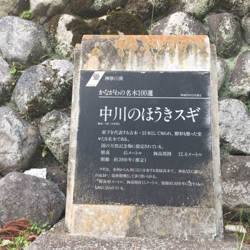 tom_takedaさんが投稿した民宿 箒沢荘（民宿 ホウキザワソウ）に関する口コミの画像