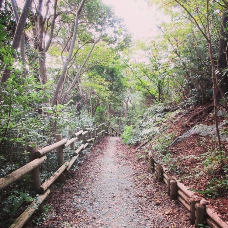 ＤＪゴン太さんが投稿した東三河ふるさと公園に関する口コミの画像
