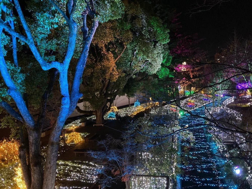 Catherine.yさんが投稿したザ ワンファイブガーデン 倉敷（The OneFive Garden Kurashiki）に関する口コミの画像
