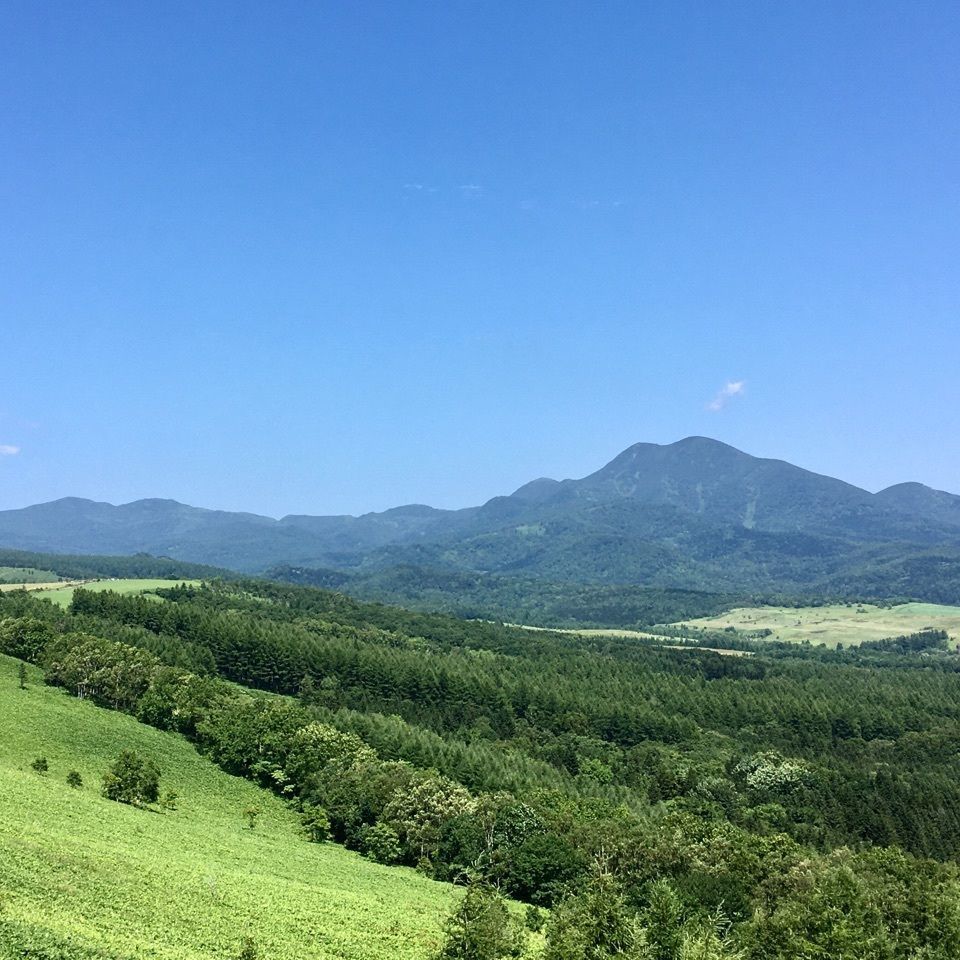 yoshiさんが投稿した中標津町に関する口コミの画像