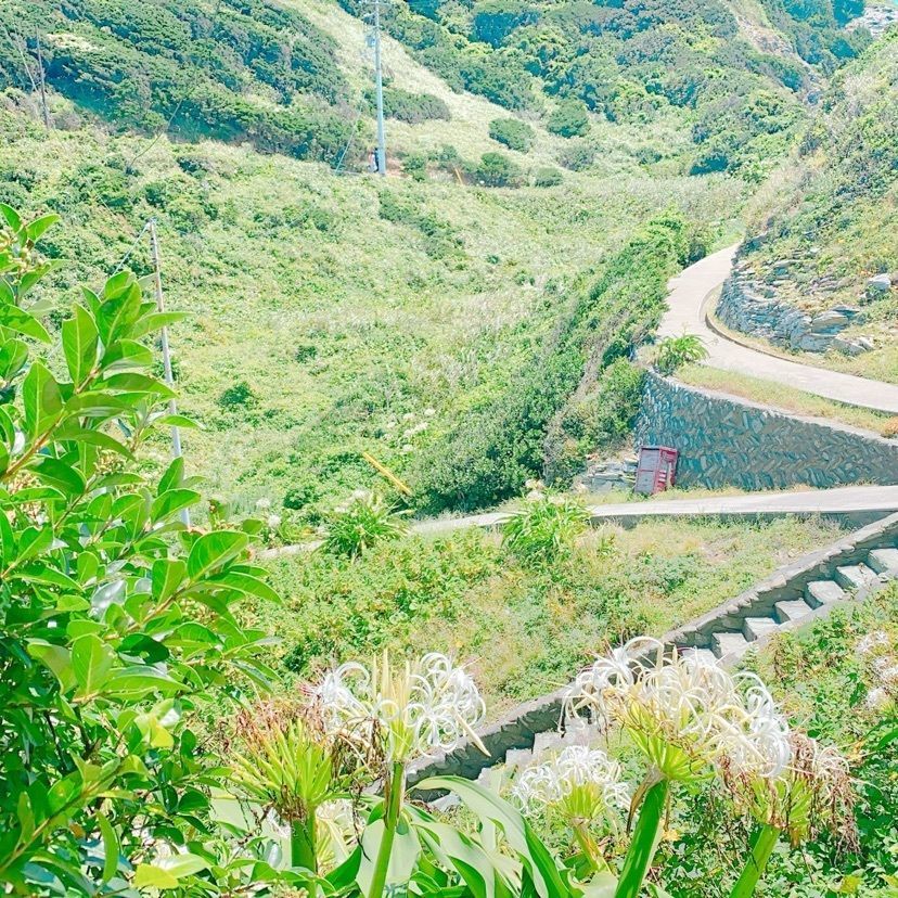 鉄道こまちさんが投稿した佐田岬灯台遊歩道に関する口コミの画像