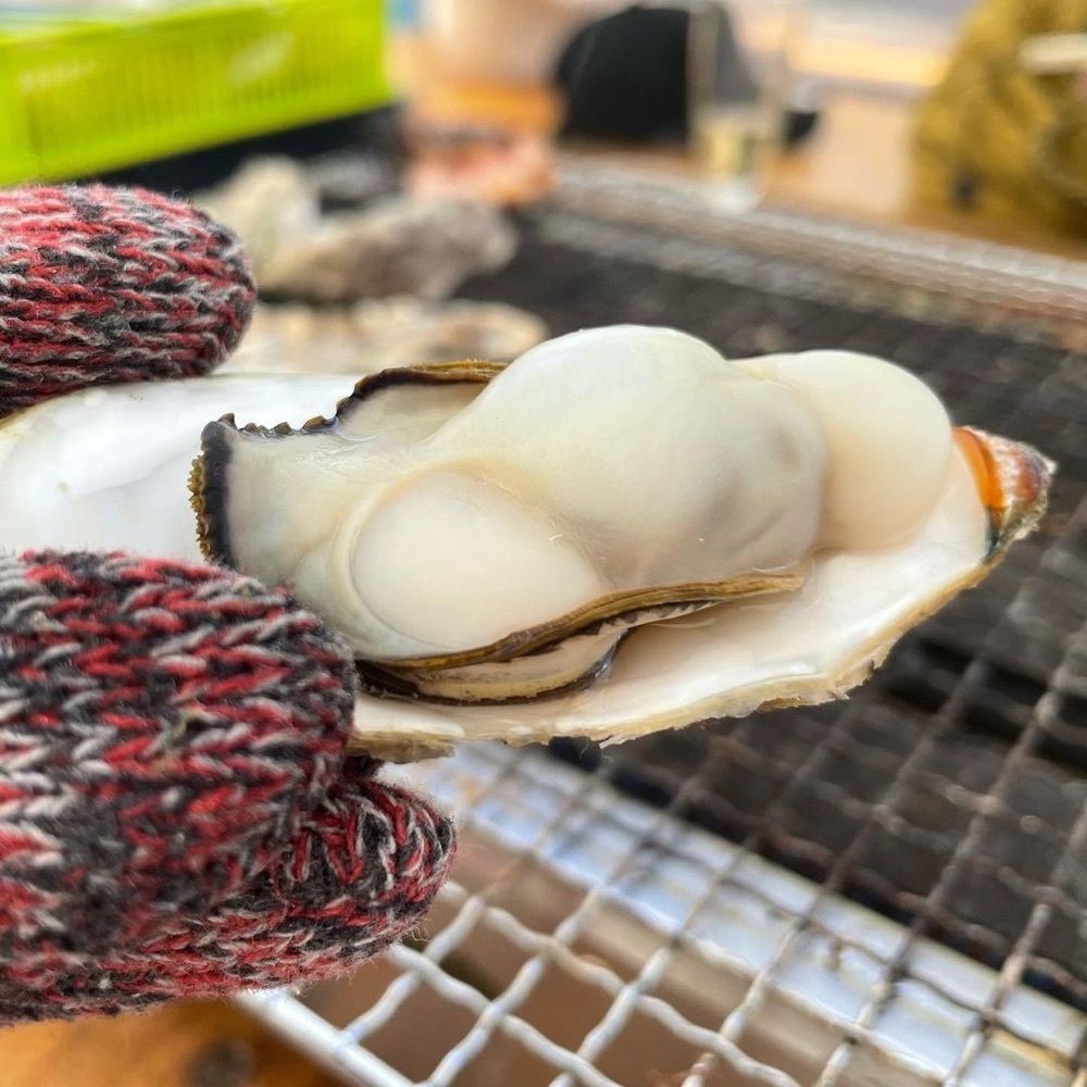 おでかけ探検部さんが投稿したかきのますだに関する口コミの画像