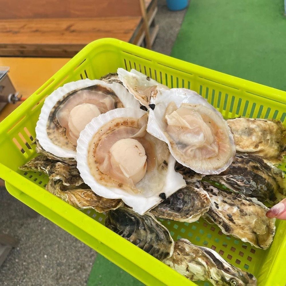 おでかけ探検部さんが投稿したかきのますだに関する口コミの画像